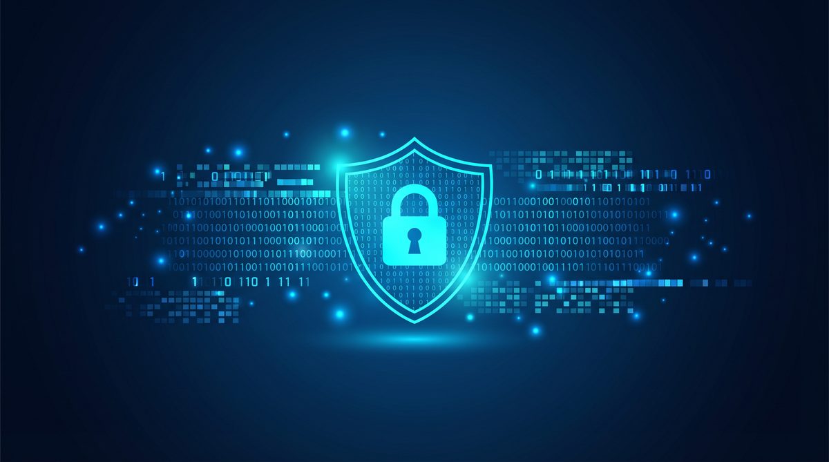 雷狮加速器隐私安全保护